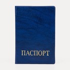 Обложка для паспорта, цвет синий - фото 280737249