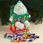 Сладкий детский подарок «Сюрприз для тебя»: шоколадные конфеты, мягкая игрушка, 500 г. - фото 4788985