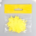 Заготовка из фоамирана «Лист клена», 5?5 см, набор 10 шт., желтый (комплект 2 шт) - фото 28478180