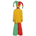 Карнавальный костюм «Скоморох», рубашка, брюки, колпак, рост 122-128 см - Фото 3