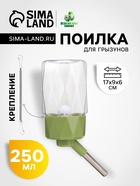 Поилка для грызунов, 250 мл, крепление-пружинка, зелёная - Фото 1