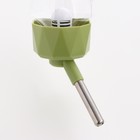 Поилка для животных, 500 мл, крепление-пружинка, зелёная - Фото 3