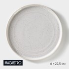 Тарелка фарфоровая обеденная Magistro Urban, d=22,5 см, цвет белый в крапинку - фото 3547221