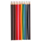 Цветные карандаши 12 цветов, «Синий трактор» - Фото 2