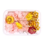 Набор для творчества «Набор сухоцветов» большой, розовый + жёлтый - фото 7793206
