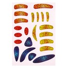 Мозаика гелевыми стразами «Супер герой», Человек-паук - фото 119047093 Мозаика гелевыми стразами «Супер герой», Человек-паук - фото 119047093