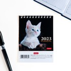 Календарь перекидной настольный, домик "Символ года" 10х10 см, 2023 год - Фото 2