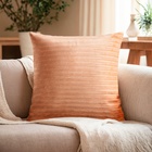 Наволочка декоративная Этель цвет бежевый,40×40 см, велсофт, 100% п/э - Фото 1