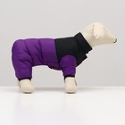 Комбинезон «Умка», размер 10 (ДС 25 см, ОГ 34 см, ОШ 24 см), чёрно-фиолетовый - Фото 2