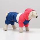 Комбинезон "Эльф", размер 12 (ДС 28 см, ОГ 38 см, ОШ 27 см), розово-синий - фото 27186836