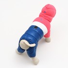 Комбинезон "Эльф", размер 12 (ДС 28 см, ОГ 38 см, ОШ 27 см), розово-синий - фото 27186838