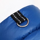 Комбинезон "Эльф", размер 12 (ДС 28 см, ОГ 38 см, ОШ 27 см), розово-синий - фото 27186841