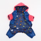 Комбинезон "Эльф", размер 12 (ДС 28 см, ОГ 38 см, ОШ 27 см), розово-синий - фото 27186842