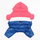 Комбинезон "Эльф", размер 12 (ДС 28 см, ОГ 38 см, ОШ 27 см), розово-синий - фото 27186844