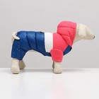 Комбинезон "Эльф", размер 14 (ДС 32 см, ОГ 42 см, ОШ 31 см), розово-синий - фото 27338495