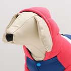 Комбинезон "Эльф", размер 14 (ДС 32 см, ОГ 42 см, ОШ 31 см), розово-синий - фото 27338497