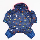 Комбинезон "Эльф", размер 14 (ДС 32 см, ОГ 42 см, ОШ 31 см), розово-синий - фото 27338501