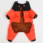 Комбинезон "Умка", размер 16 (ДС 36 см, ОГ 46 см, ОШ 35 см), чёрно-оранжевый - Фото 6