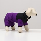 Комбинезон «Умка», размер 16 (ДС 36 см, ОГ 46 см, ОШ 35 см), чёрно-фиолетовый - Фото 1