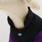 Комбинезон «Умка», размер 18, ДС 40 см, ОГ 50 см, ОШ 38 см, чёрно-фиолетовый - Фото 4