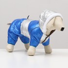 Комбинезон "Блик" с утяжкой, размер 14 (ДС 32 см, ОГ 42 см, ОШ 31 см), серебряно-синий - фото 22655981