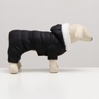 Комбинезон "Лайв" с утяжкой, размер 14 (ДС 32 см, ОГ 42 см, ОШ 31 см), чёрный - фото 22655994