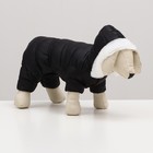 Комбинезон "Лайв" с утяжкой, размер 18 (ДС 40 см, ОГ 50 см, ОШ 38 см), чёрный - фото 26074698