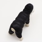 Комбинезон "Лайв" с утяжкой, размер 18 (ДС 40 см, ОГ 50 см, ОШ 38 см), чёрный - фото 26074700