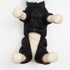 Комбинезон "Лайв" с утяжкой, размер 18 (ДС 40 см, ОГ 50 см, ОШ 38 см), чёрный - фото 26074702