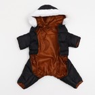 Комбинезон "Лайв" с утяжкой, размер 18 (ДС 40 см, ОГ 50 см, ОШ 38 см), чёрный - фото 26074703