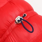 Комбинезон "Медвежонок", размер 12 (ДС 28 см, ОГ 38 см, ОШ 27 см), чёрно-красный - фото 22656113