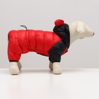 Комбинезон "Медвежонок", размер 12 (ДС 28 см, ОГ 38 см, ОШ 27 см), чёрно-красный - фото 22656105