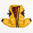 Комбинезон для собак со шлейкой «Моден», размер 20, ДС 43, ОГ 56, ОШ 41 см, жёлтый - Фото 6