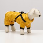 Комбинезон для собак  со шлейкой "Моден",  размер 22 (ДС 41, ОГ 60, ОШ 43 см), жёлтый - фото 9989051