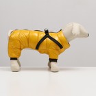Комбинезон для собак  со шлейкой "Моден",  размер 8 (ДС 23, ОГ 30, ОШ 22 см), жёлтый - фото 7259358