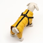 Комбинезон для собак  со шлейкой "Моден",  размер 8 (ДС 23, ОГ 30, ОШ 22 см), жёлтый - фото 7259359