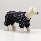 Комбинезон для собак "Горошек", размер 10 (ДС 25, ОГ 34, ОШ 24 см), чёрный - фото 7259366