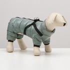 Комбинезон для собак  со шлейкой "Моден",  размер 10 (ДС 25, ОГ 34, ОШ 24 см), серый - фото 9989096