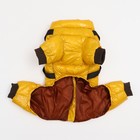 Комбинезон для собак со шлейкой «Моден», размер 10, ДС 25, ОГ 34, ОШ 24 см, жёлтый - Фото 7