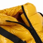 Комбинезон для собак со шлейкой «Моден», размер 10, ДС 25, ОГ 34, ОШ 24 см, жёлтый - Фото 8