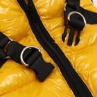 Комбинезон для собак со шлейкой «Моден», размер 10, ДС 25, ОГ 34, ОШ 24 см, жёлтый - Фото 9