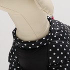 Комбинезон для собак «Горошек», размер 12 (ДС 25, ОГ 36, ОШ 28 см), чёрный - Фото 4