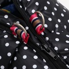 Комбинезон для собак «Горошек», размер 12 (ДС 25, ОГ 36, ОШ 28 см), чёрный - Фото 9