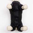 Комбинезон для собак "Горошек", размер 14 (ДС 27, ОГ 38, ОШ 30 см), чёрный - фото 9838834
