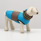 Куртка для собак с ошейник, размер 10 (ДС 25 см, ОГ 34 см, ОШ 24 см), серо-голубая - фото 9989213