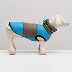 Куртка для собак на молнии, размер 8 (ДС 23 см, ОГ 30, ОШ 22 см), серо-голубая - Фото 2