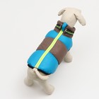 Куртка для собак на молнии, размер 8 (ДС 23 см, ОГ 30, ОШ 22 см), серо-голубая - Фото 3