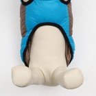 Куртка для собак на молнии, размер 8 (ДС 23 см, ОГ 30, ОШ 22 см), серо-голубая - Фото 5