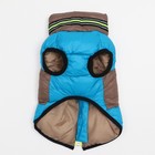 Куртка для собак на молнии, размер 8 (ДС 23 см, ОГ 30, ОШ 22 см), серо-голубая - Фото 7
