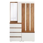 Прихожая «Клик Мебель. Крона», с зеркалом, 1260×350×1980 мм, цвет белый/дуб крафт золотой - Фото 6